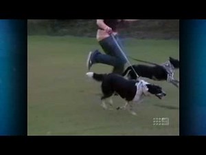 Australia's Funniest Home Videos Part 5 (2010 05 22)