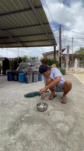 Mga natirang Tilapia sa mini fishpond #AljuiceTV | Aljuice