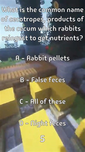 What is the common name of cecotropes, products of the cecum which rabbits reingest to...