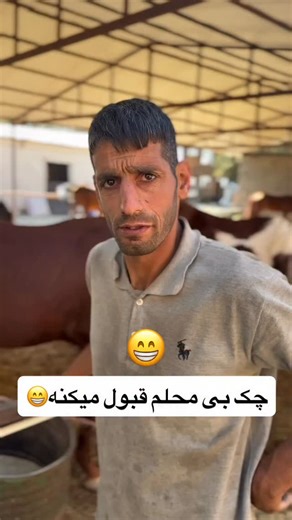 Arabian horse on Instagram‎: "نظرت چیه؟؟؟؟؟ قیمتا چطوره؟؟؟؟"‎