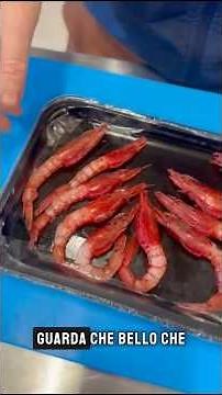 Gambero rosso di Mazara del Vallo come gustarlo al meglio #gamberorosso #gamberodimazara #mazara