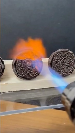 Why Won’t This Oreo Burn?🔥 But if a flame can’t break it down, how is your body supposed to?