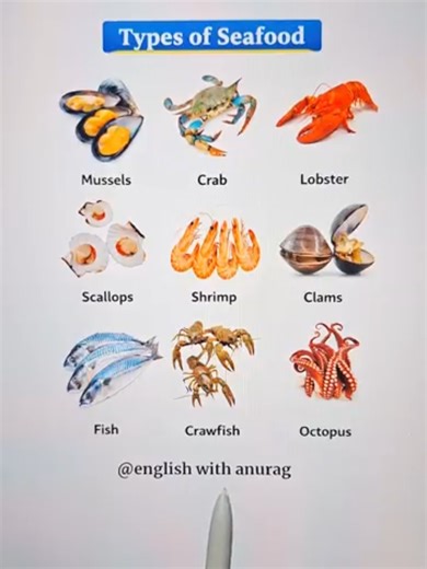 types of sea food #englishteacher #vocabulary #seafood #weather