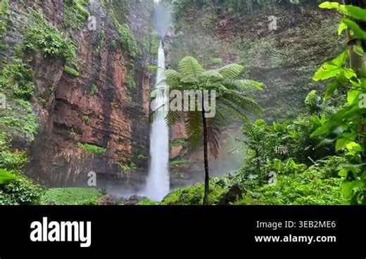 Kapas Biru waterfall surrounded by lush tropical rainforest and tree ferns in East Java, Indonesia. Scenic jungle landscape with dramatic cascade and mist in Southeast Asia Stock Video Footage - Alamy