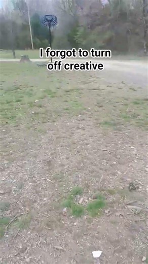 I forgot to turn off creative mode..