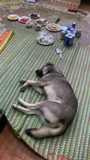 Mập: Sáng giờ T tiếp khách hơi bị mệt nha