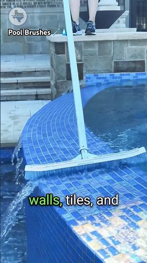 🧹 What type of pool brush to use? #poolcleaning