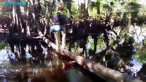 Funny videos - HARDEST try not to laugh challenge - YouTube