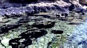 18K views · 550 reactions | Beautiful Comino! Discover Comino and the Blue Lagoon in this video... | Maltese Food - ilovefood.com.mt | Facebook