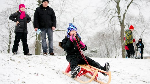 31K views · 242 reactions | Discover the magic of winter! ❄️ From exhilarating cross-country skiing to the serene experience of winter camping, there's something for everyone to enjoy in the great outdoors this season. Learn more about places to go, events, volunteering, and more at: www.fpdcc.com #Winter #CookCounty | Forest Preserve District of Cook County | Facebook