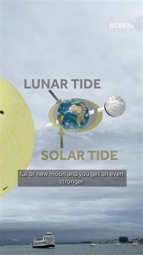 What exactly is a king tide? And why is it worth paying attention to? Storm Team 5 meteorologist Kelly Ann Cicalese breaks down the science - and the warning - from Boston's Long Wharf. What climate scientists are doing: https://www.wcvb.com/article/boston-king-tide-coastal-flooding-climate-change/68989357 #Boston #LongWharf #KingTides #CoastalFloding #ClimateChange #Massachusetts #NewEngland | WCVB Channel 5 Boston