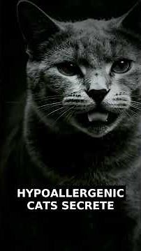 Russian Blue: The Truth About Hypoallergenic Cats