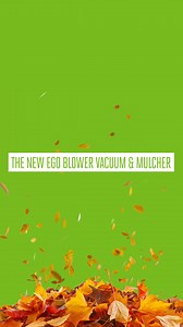 No more scraping and scrounging. With the new EGO Blower, Vacuum & Mulcher, you’re not gonna RAKE IT. It’s a 3-in-1 tool for all your autumn needs 🍂 | EGO Power Plus