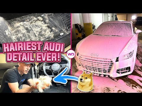 Deep Cleaning The HAIRIEST Audi TT EVER | EXTREME Dog Hair Removal | Satisfying Car Detailing