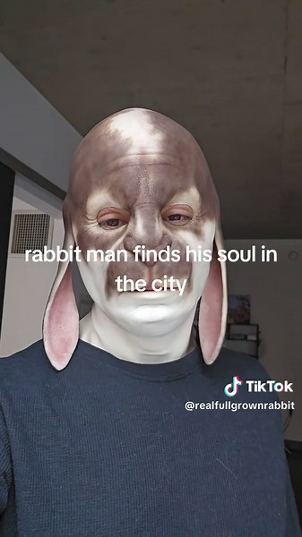 A Rabbit's Journey to Finding Home