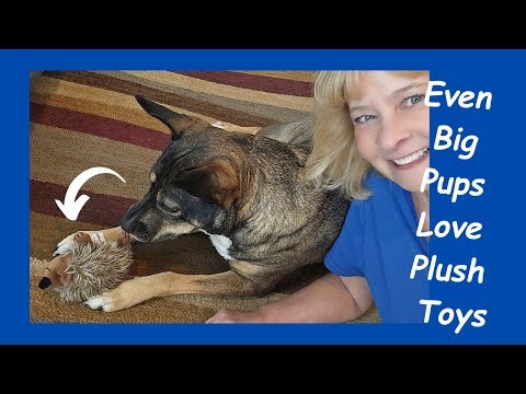Best Plush Dog Toy? My Dog Put It to the Test 🐶 (Honest Review)