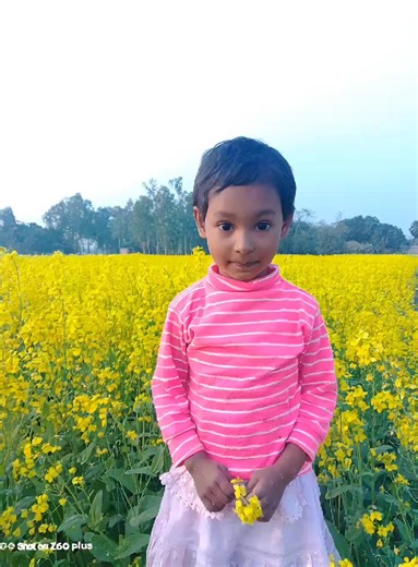 The Ultimate Party You TikTok Compilation