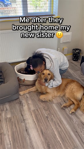POV: you’re no longer the only child | The Golden Kobe Family