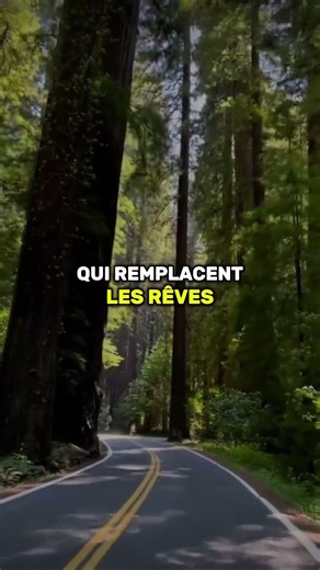 Pourquoi les adultes arrêtent de rêver… et le regrettent toute leur vie