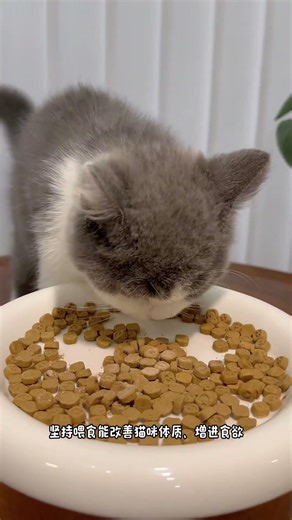 Same style pet nutrition supplement for cats