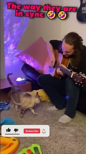 She could use the cat as an instrument 🤣 #cute #cat #funny #animals