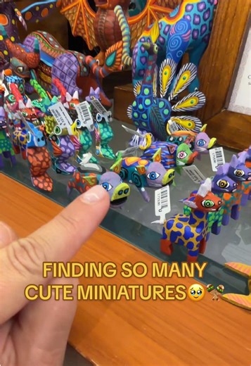 Exploring Tiny Treasures: Miniatures in the Wild