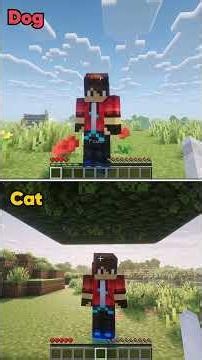 2 POVs in 1 Video (Dog and Cat)...