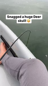 133K views · 32K reactions | During the winter, deer will walk out onto the ice and sometimes fall through! This deer was out pretty far from shore in some deeper water. Of all the crazy things I’ve caught in my life this still has to be one of the craziest! We had a long cold winter this year, I wonder if I’ll ever hook into another one! • • • #fishing #hunting #deer #deadhead #deerskull #trophybuck #kayakfishing | Fishlikemike | Facebook