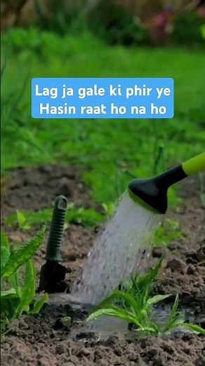 Lag Ja Gale Full Song Lyrics Lata Mangeshkar Evergreen song #LagJaGale #LataMangeshkar