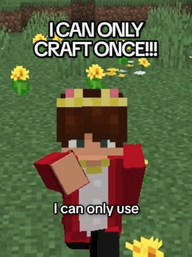 Minecraft But Every Recipe Can Only Be Used Once | #minecraft #joeysaf #minecraftvideo #minecraftmemes #funny