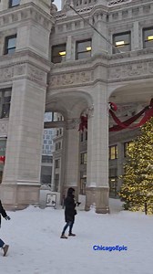 Chicago land snowfall | Photography & Video Digital