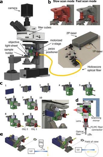 A versatile and open source design for one and two photon light sheet microscopy - Scientific Reports