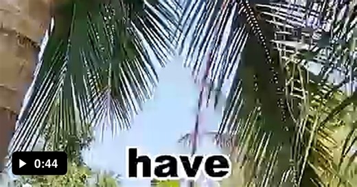 Return to monke - Video