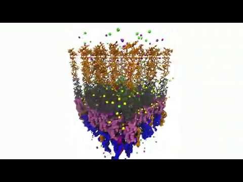 Membrane Builder Tutorial 4 - Building Outer Membrane containing btuB