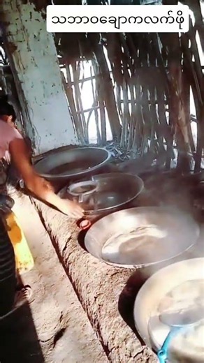 The Traditional Process of Making Authentic Palm Jaggery (Hnyat)!