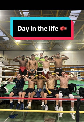 A Day in the Life of a Boxer