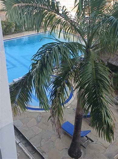 ✅FURNISHED 1 BEDROOM - SHANZU ❤ ✅Come enjoy your vacation with our fully furnished 1 bedroom ✅Swimming pool, parking, relaxing lounge ✅Balconies, fans & AC options available ✅Available for short & long term stay ✅Bed & breakfast options available #RATES Kshs.7,000 #CONTACT 0733200111 0773200111