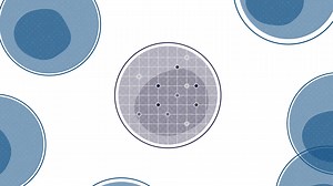 One medicine, for one patient. We, along with our partner Merck, are pioneering a new frontier in the fight against #cancer by designing an mRNA-based investigational personalized cancer #vaccine - that targets each patient’s unique cancer #cells. Learn more about how it works ⬇ | Moderna, Inc.