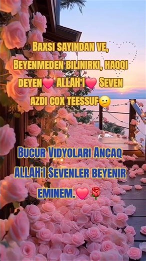 #kuran #kuranıkerim #ayet Herkes ozne yarasani elesin xahis edirem ALLAH RZASI UCUN🤲