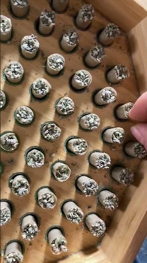 Buddies bump box… life changer definitely recommend 👍🏻