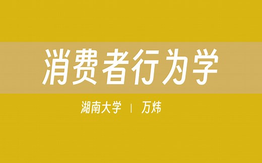 【湖南大学】消费者行为学（全63讲）万炜