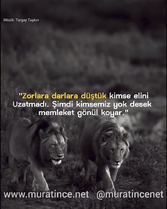Gönül koyar | Bende Yoluma Giderim