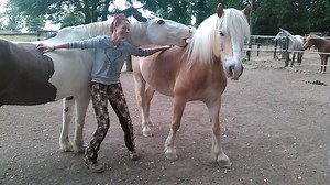 Weekend = Time for Wellness (o: | Sandra Schneider