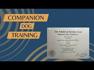 Companion Dog Training Exercises