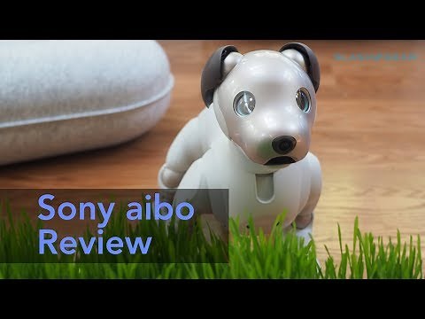 Sony aibo review (2018)