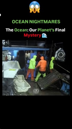 Mindset to millionaire | The Ocean: Our Planet’s Final Mystery 🌊 The ocean covers 71% of Earth, yet we’ve explored less than 5%. What lies below is stranger than... | Instagram