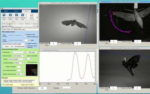 DLTdv8_tutorial2_Interactively tracking a point with a deep learning network