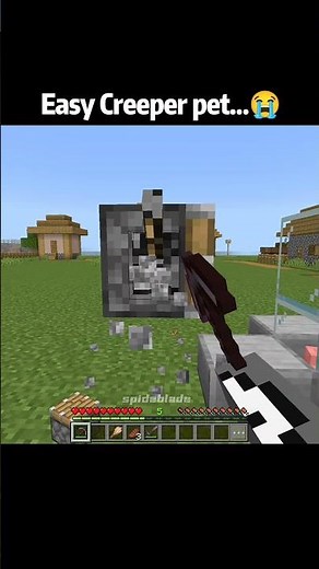 I Turned a Creeper Into My Pet in Minecraft! 🐾💀