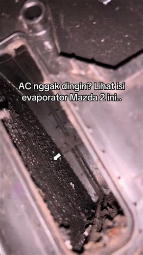 Pentingnya ganti filter AC kabin