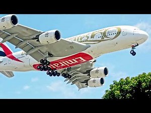 4K Los Angeles LAX 🇺🇸 Close up Plane Spotting at In-N-Out Burger